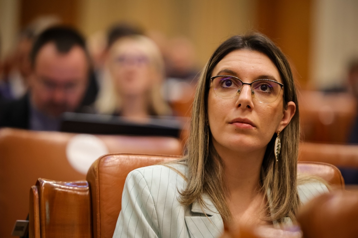 Ministrul Mediului decapitează complet Romsilva: 90% din directori vor fi demiși. 12 direcții silvice în loc de 41
